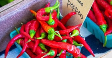 Health Benefits of Cayenne Pepper