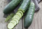 Health Benefits of Cucumber